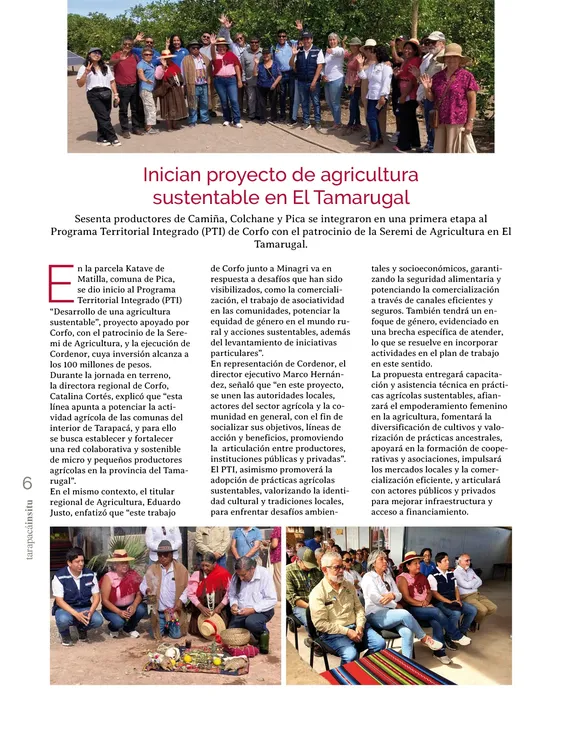 PAGINAS INSITU 72 PNG6