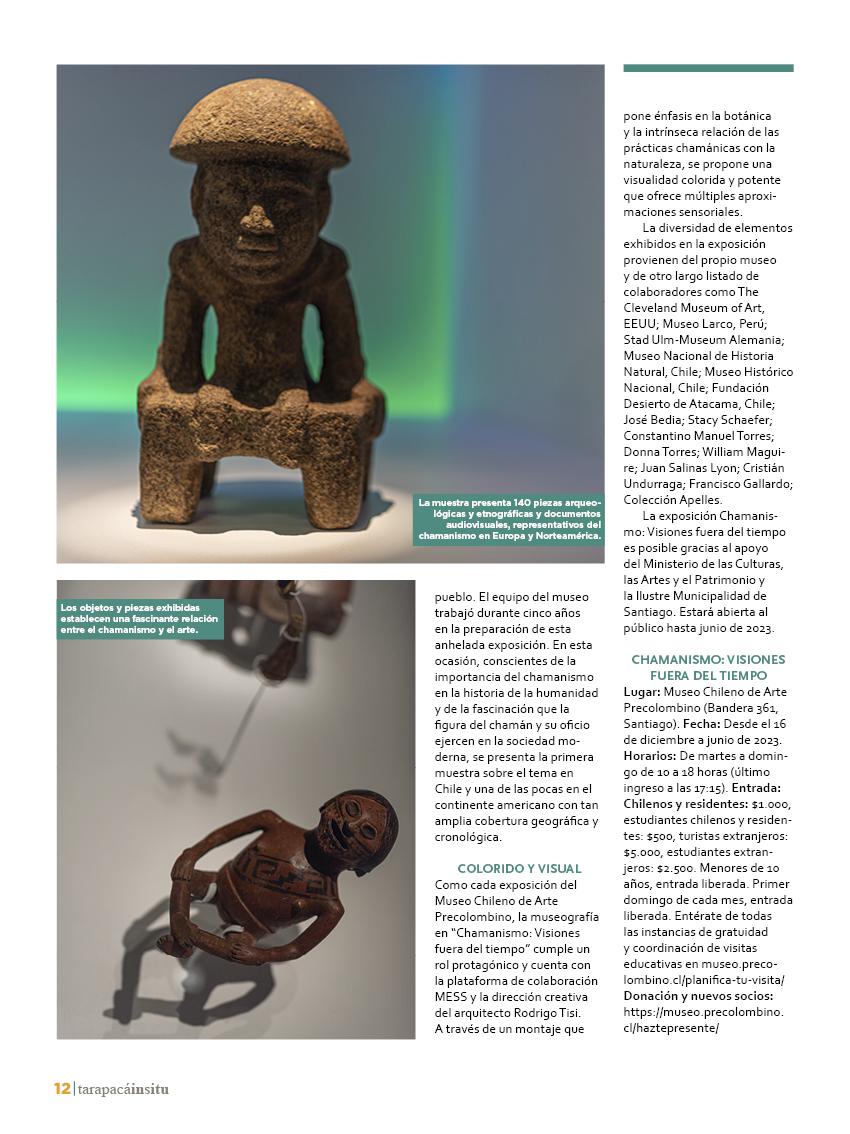 Revista Tarapacá Insitu ed48 - página12