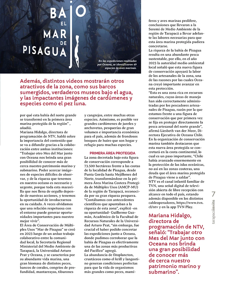 PAGINAS INSITU 73 MEDIA7