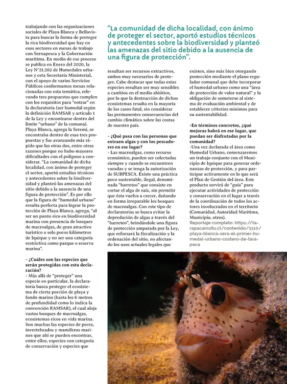 PAGINAS IN SITU 69 MEDIA27