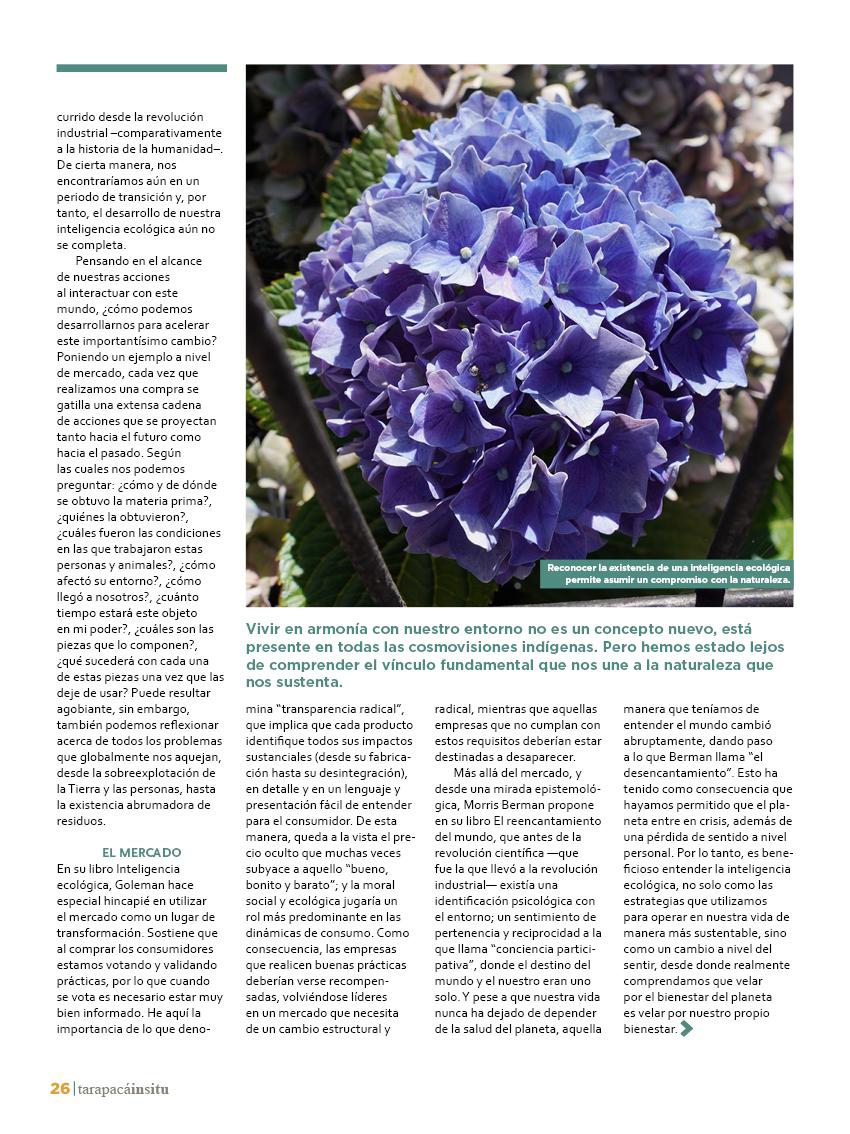 Revista Tarapacá Insitu ed48 - página26