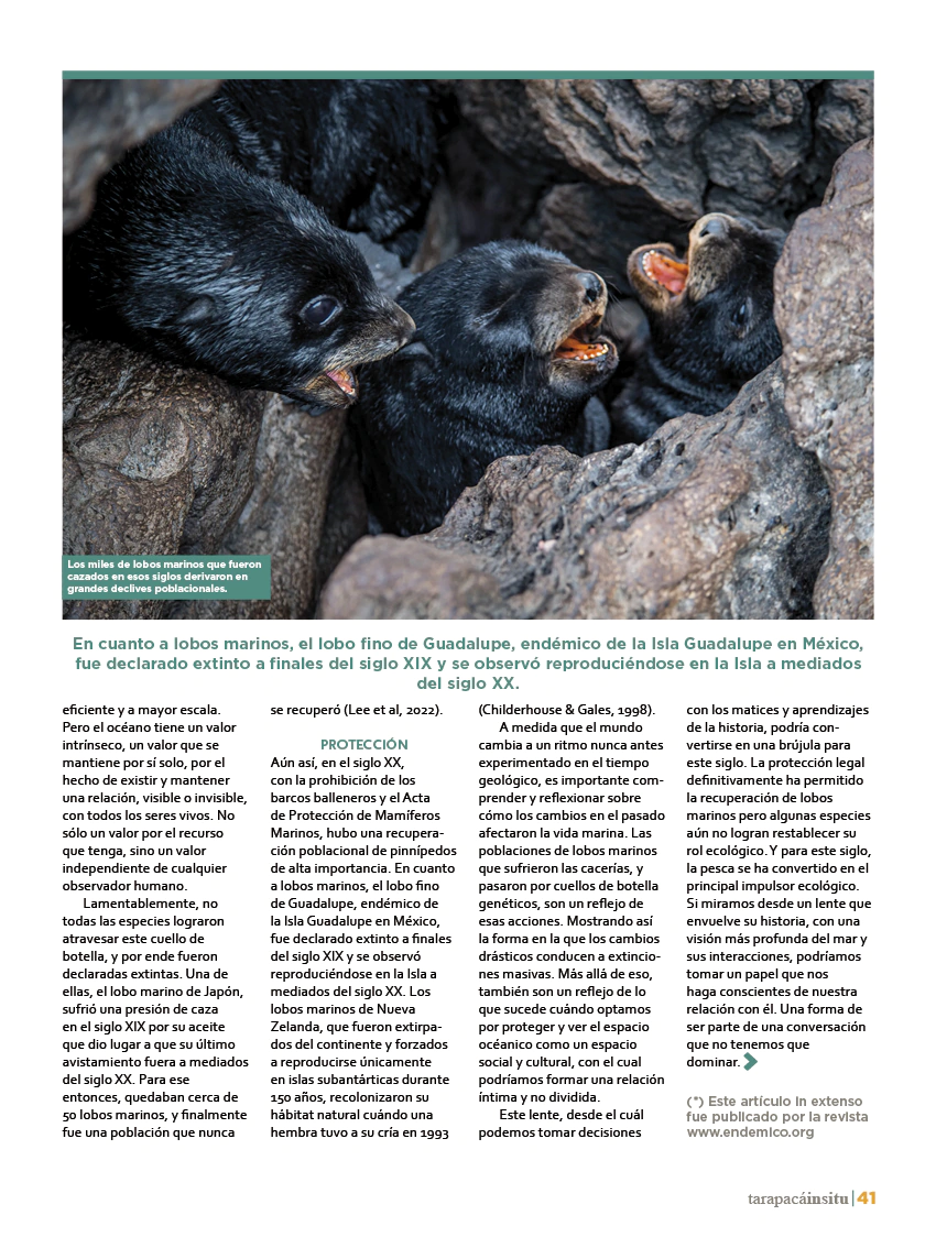 Revista Tarapacá Insitu ed50 - Página 41