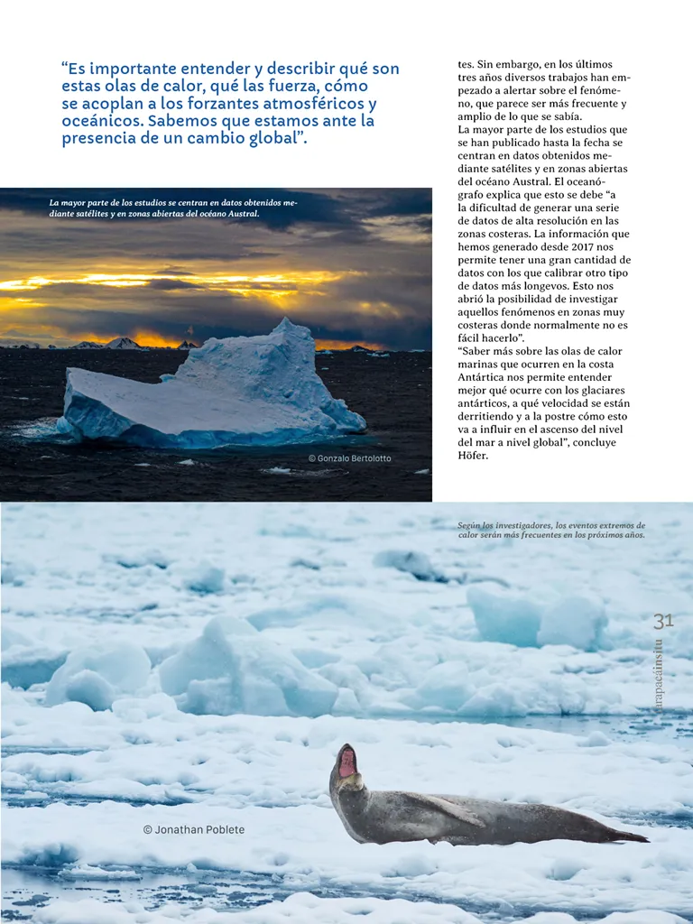 PAGINAS IN SITU 66  PNG31