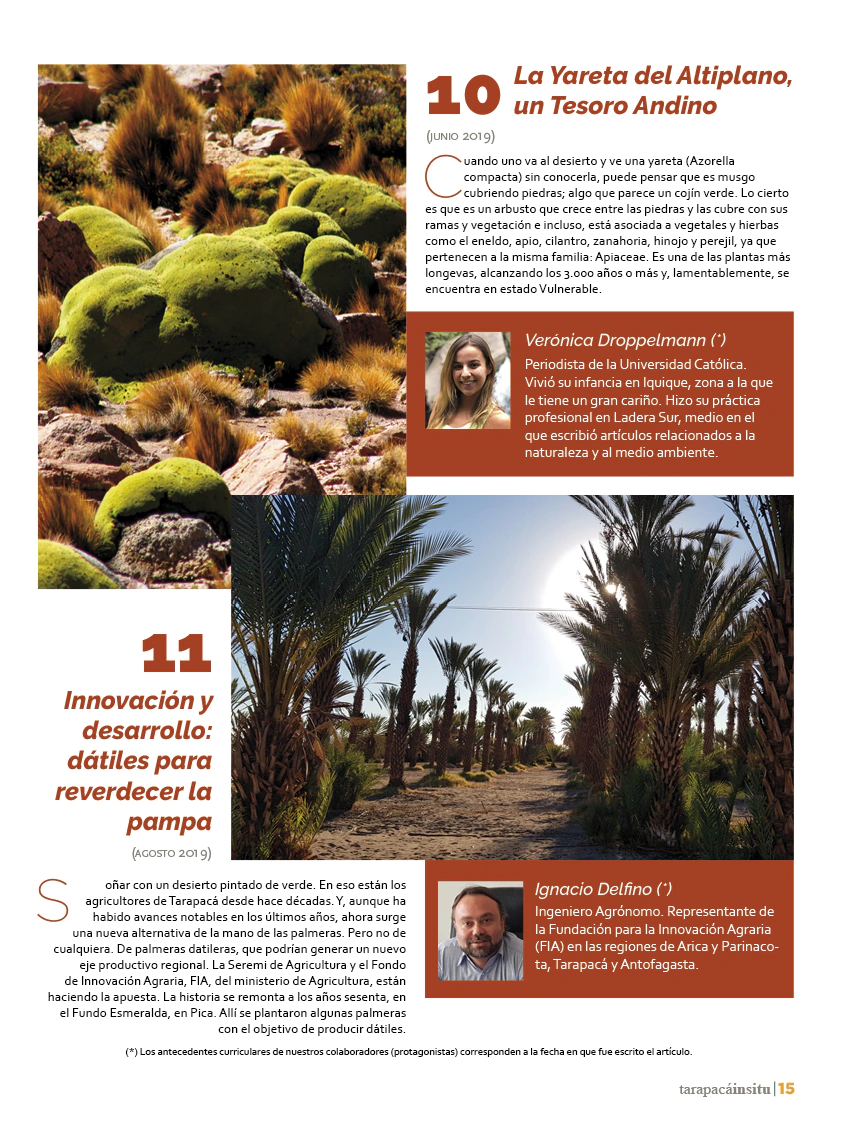 Revista Tarapacá Insitu ed50 - Página 15