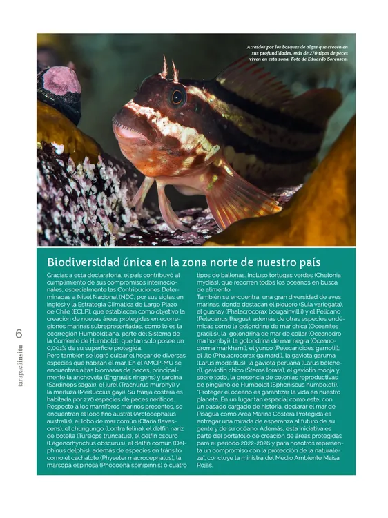 PAGINAS IN SITU 60 BAJA6
