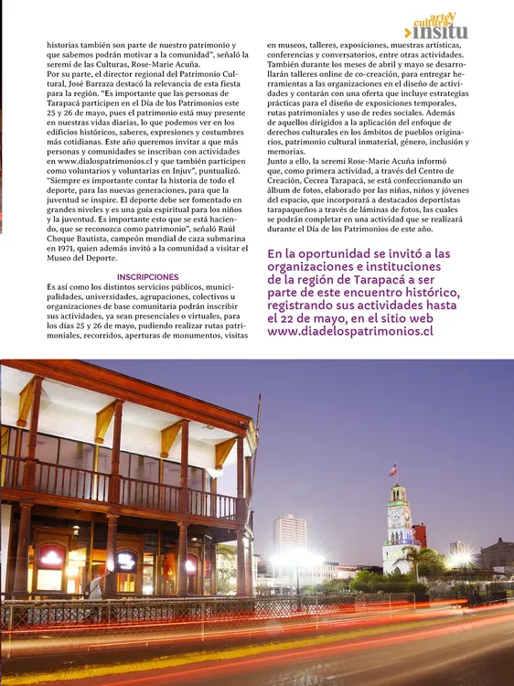 PAGINAS IN SITU PNG29