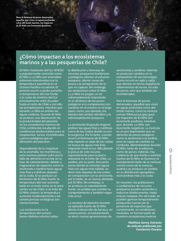 Revista Tarapacá Insitu ed52 - Página 9