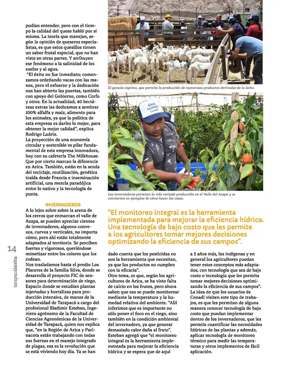 PAGINAS IN SITU 58 CALIDAD MEDIA_Página_14