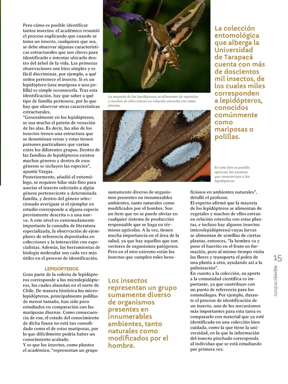 PAGINAS IN SITU PNG15