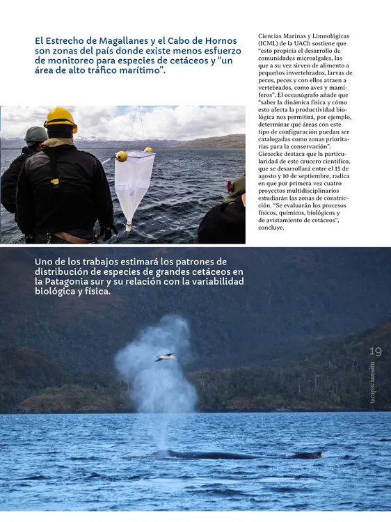 PAGINAS IN SITU 64 MEDIA19