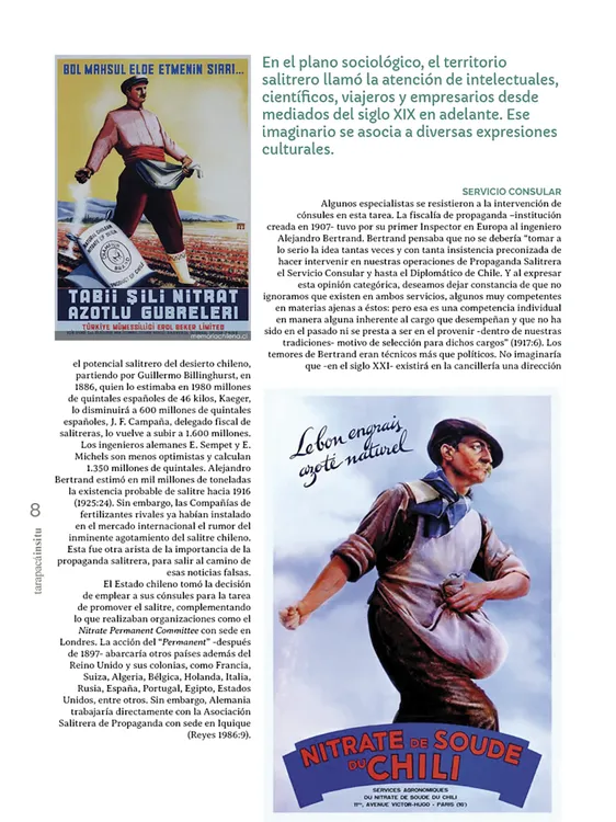 Tarapacá Insitu ed53 - Página 8