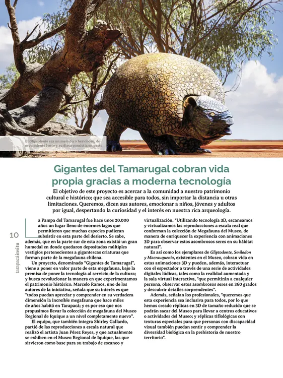 Tarapacá Insitu ed53 - Página 10