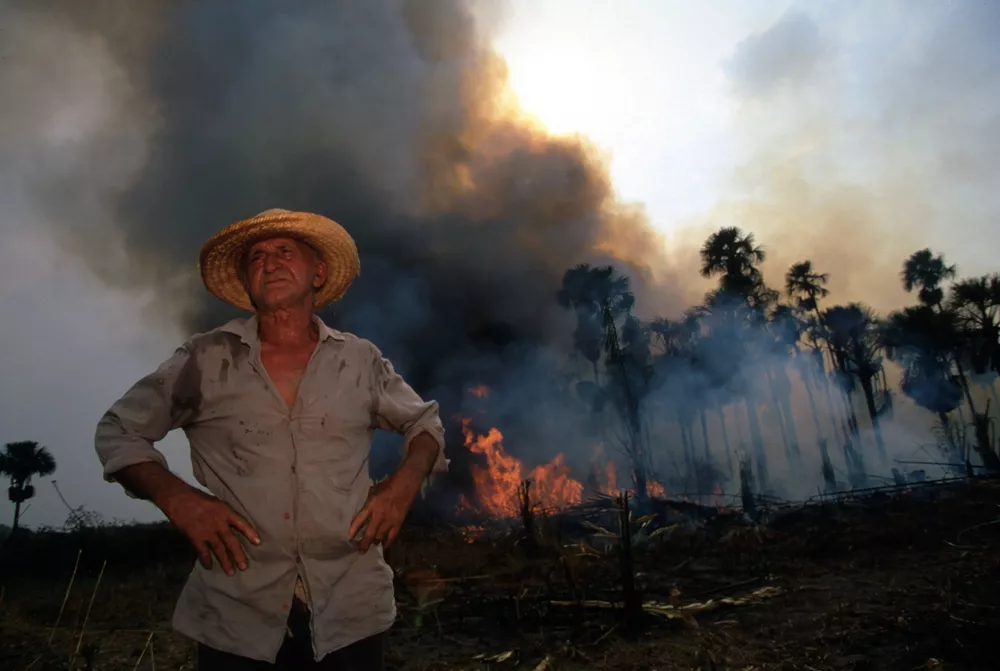 cambio climático incendios 1
