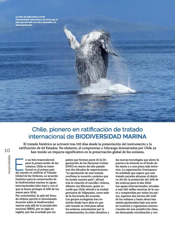 PAGINAS IN SITU 58 CALIDAD MEDIA_Página_10