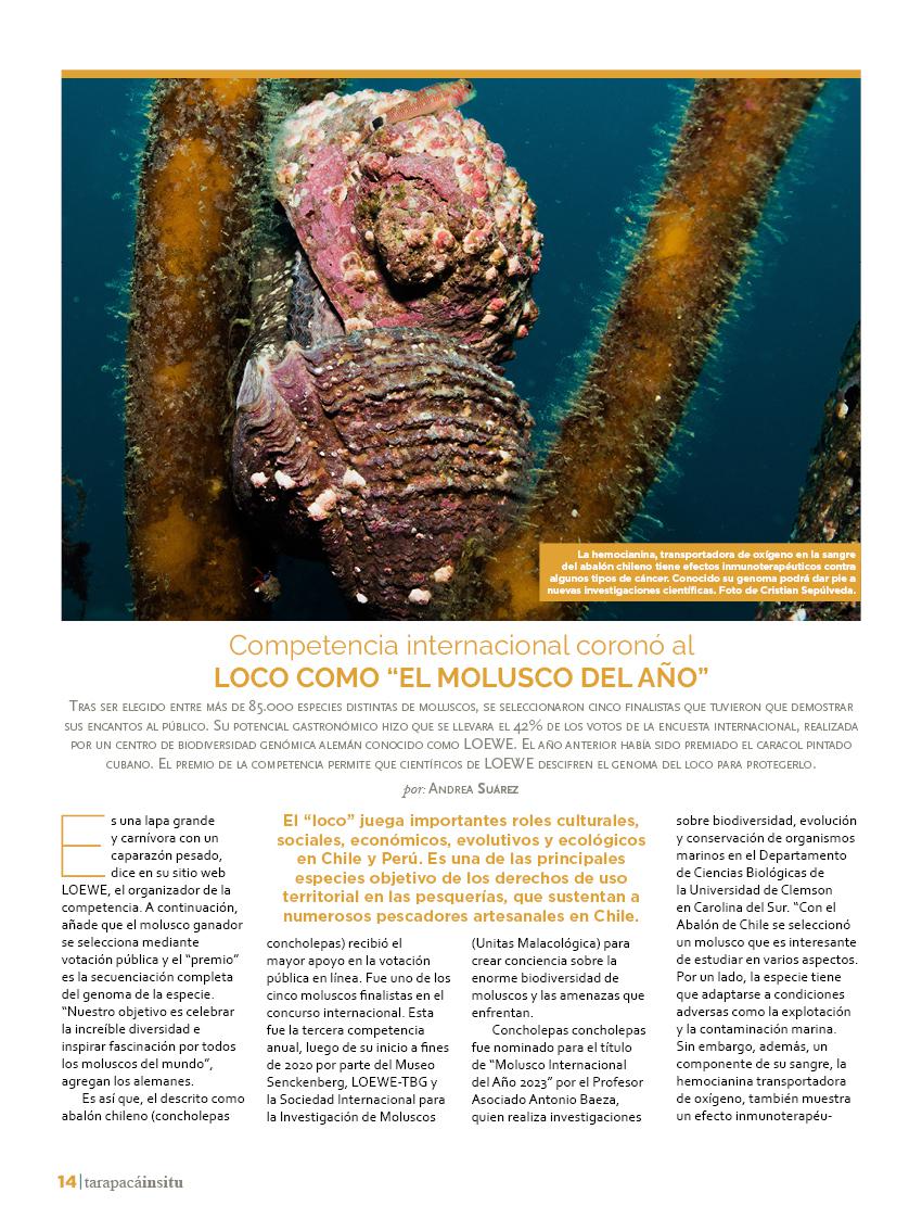 Revista Tarapacá Insitu ed48 - página14