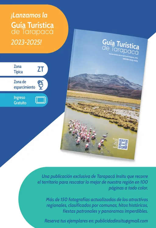 PAGINAS INSITU 74 MEDIA_Página_32