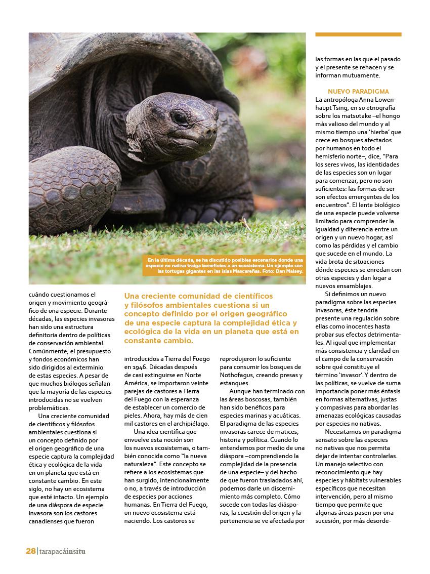 Revista Tarapacá Insitu ed45 - Página28