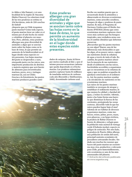 PAGINAS IN SITU 68 MEDIA31