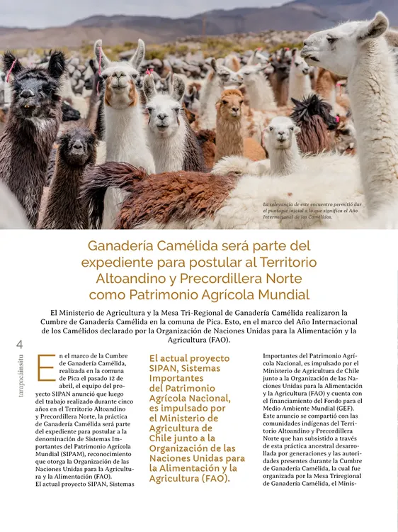 PAGINAS IN SITU PNG4