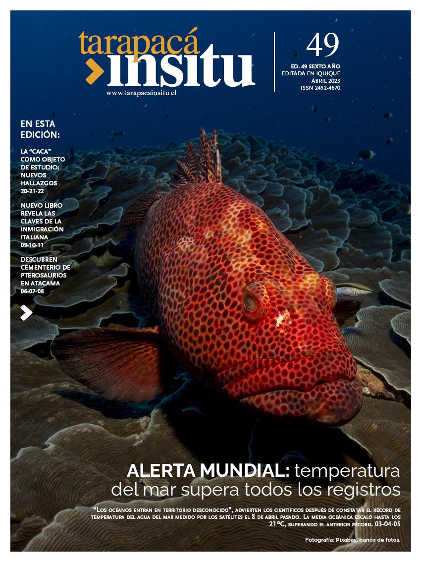 Revista Tarapacá Insitu ed49 - Página