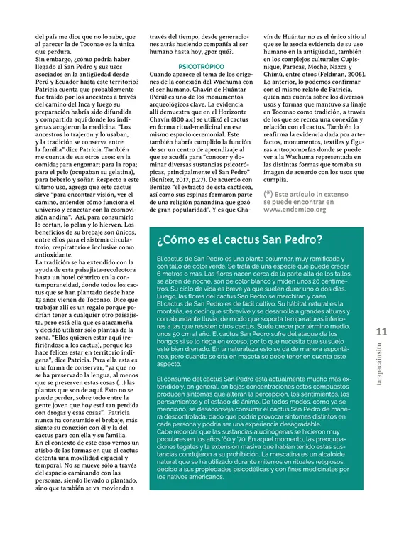 PAGINAS IN SITU 56 IMPRENTA11