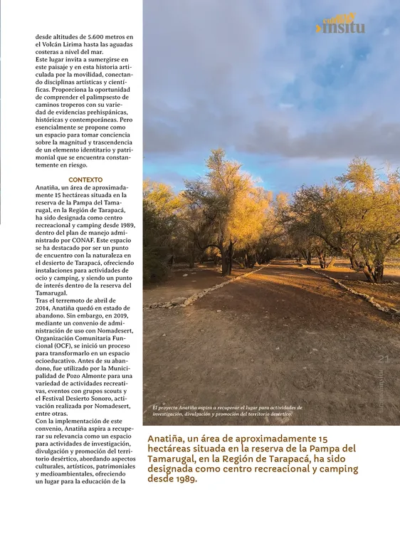 PAGINAS IN SITU PNG21