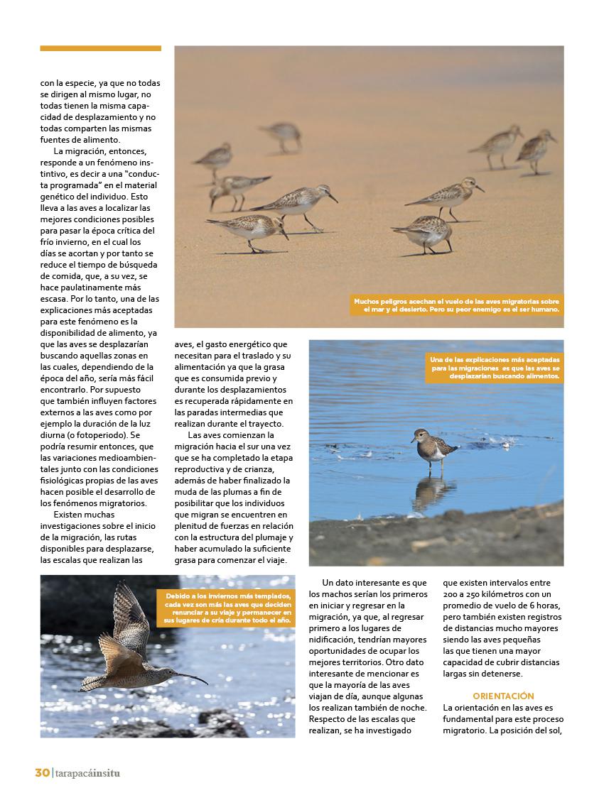 Revista Tarapacá Insitu Ed46 - Página 030
