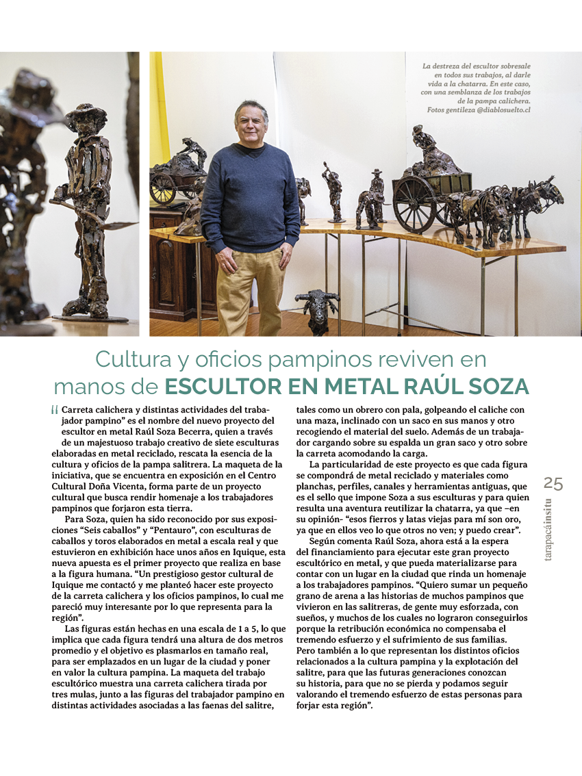 Tarapaca Insitu ed51 - Página25