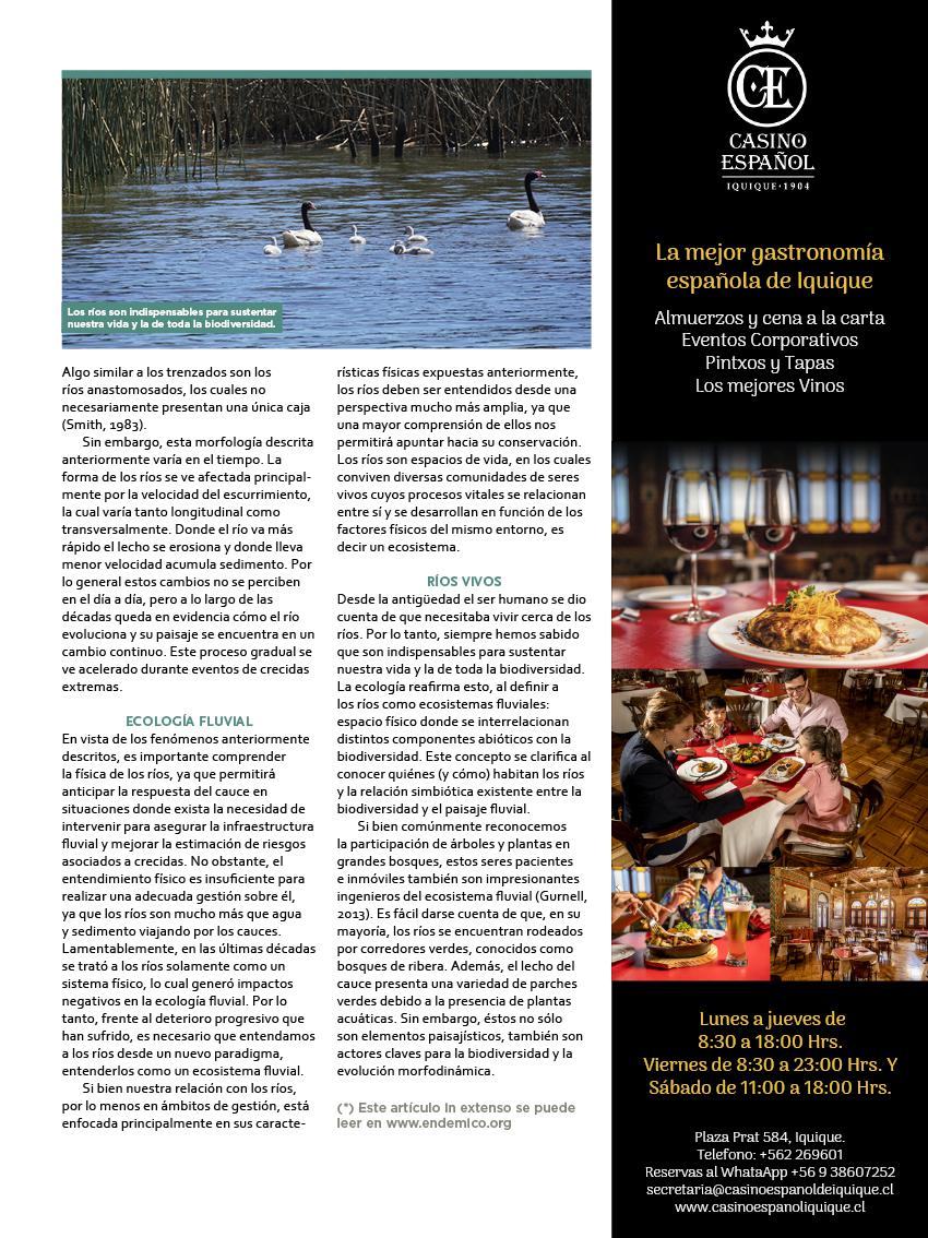 Revista Tarapacá Insitu ed49 - Página31