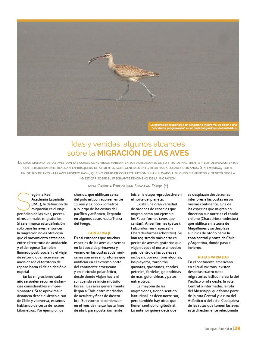 Revista Tarapacá Insitu Ed46 - Página 029