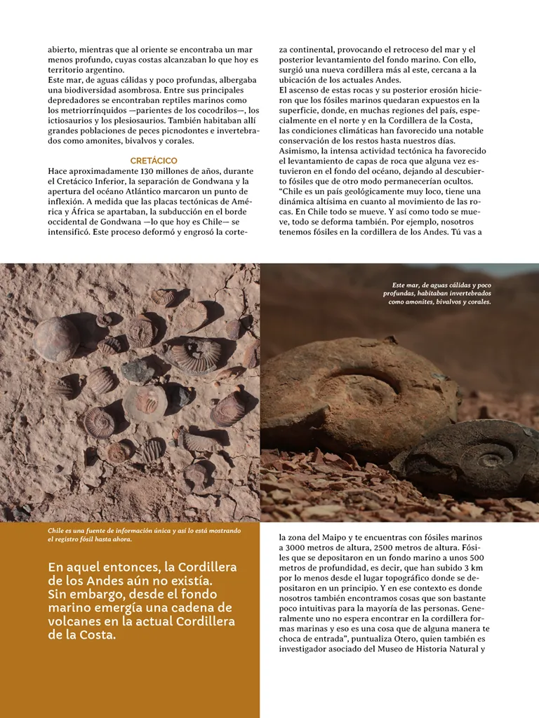 PAGINAS INSITU 71 MEDIA11