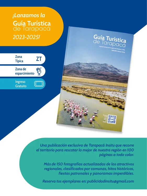 PAGINAS IN SITU 59 MEDIA32