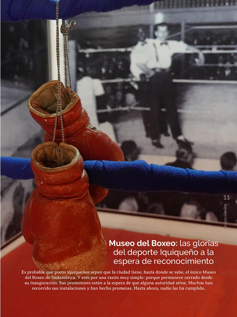 Revista Tarapacá Insitu ed 55 - Página 11