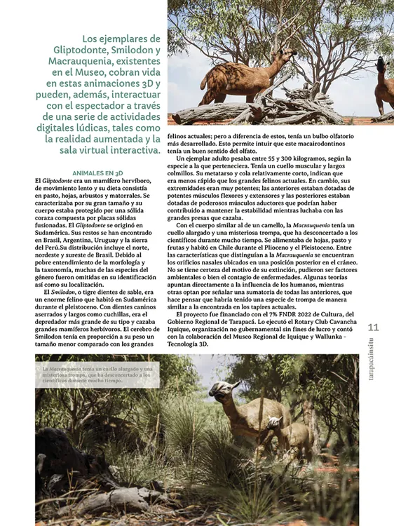 Tarapacá Insitu ed53 - Página 11