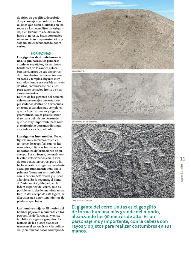 PAGINAS INSITU 78 PNG11