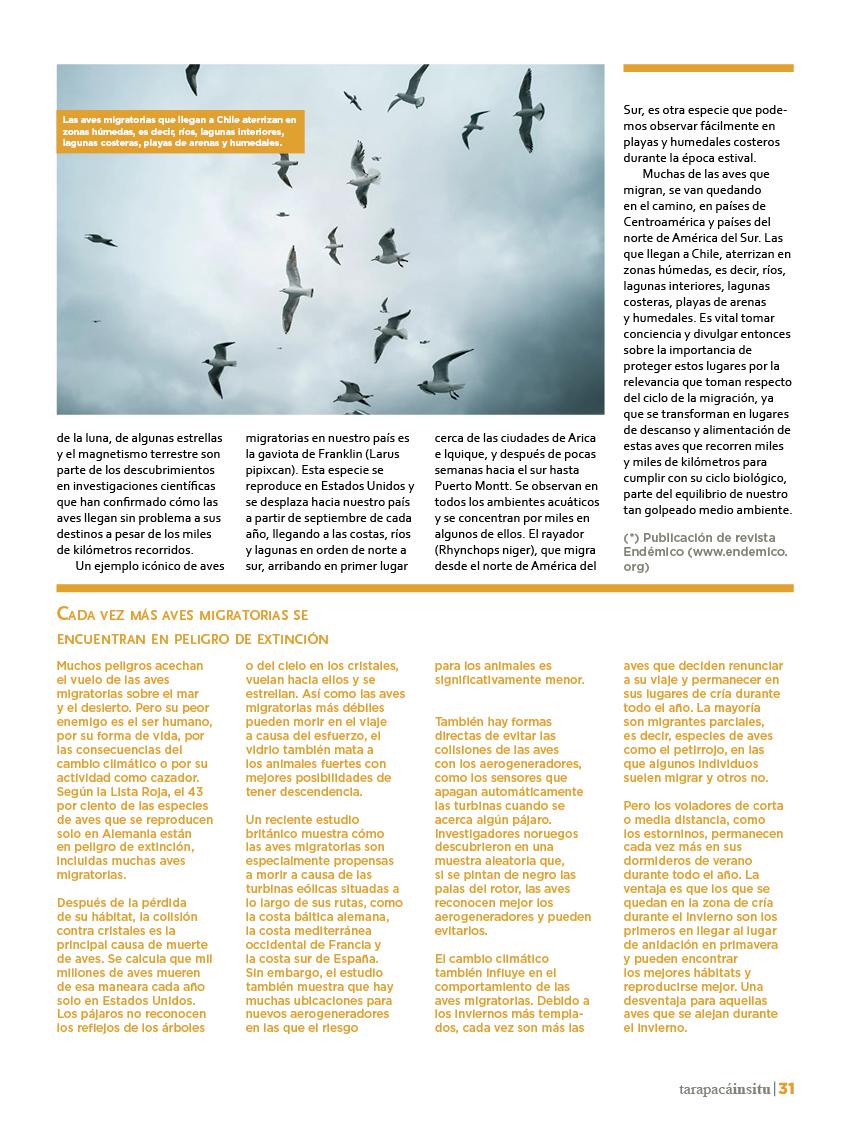 Revista Tarapacá Insitu Ed46 - Página 031