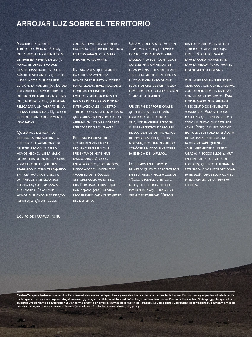 Revista Tarapacá Insitu ed50 - Página 2