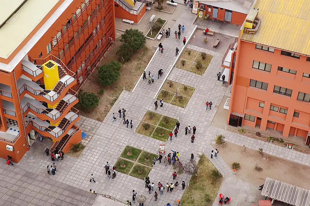 unap de aniversario 2