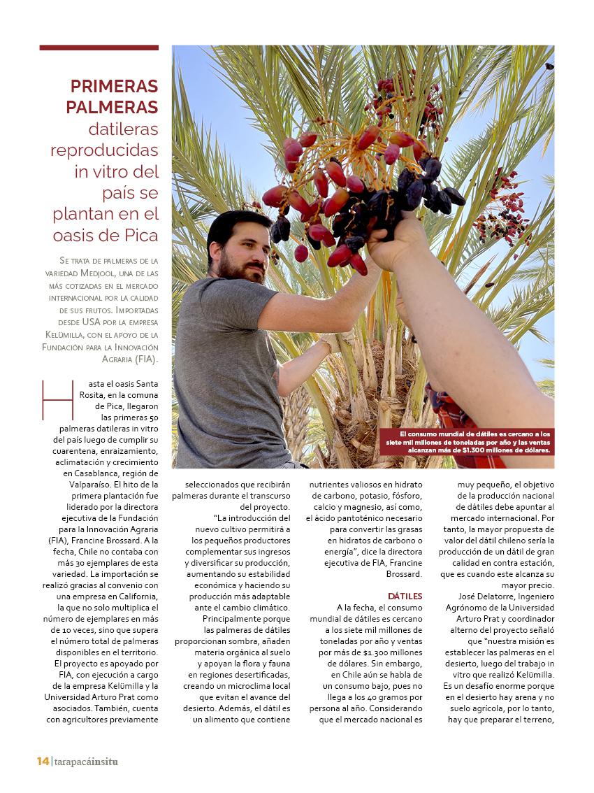 tarapacainsitued3914