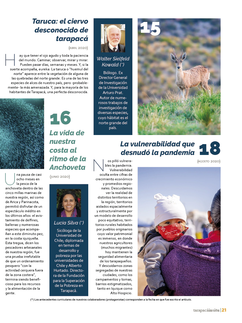 Revista Tarapacá Insitu ed50 - Página 21