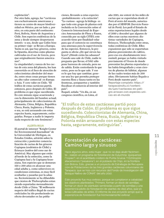 PAGINAS IN SITU 69 MEDIA11