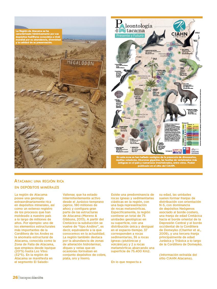 Revista Tarapacá Insitu Ed46 - Página 026