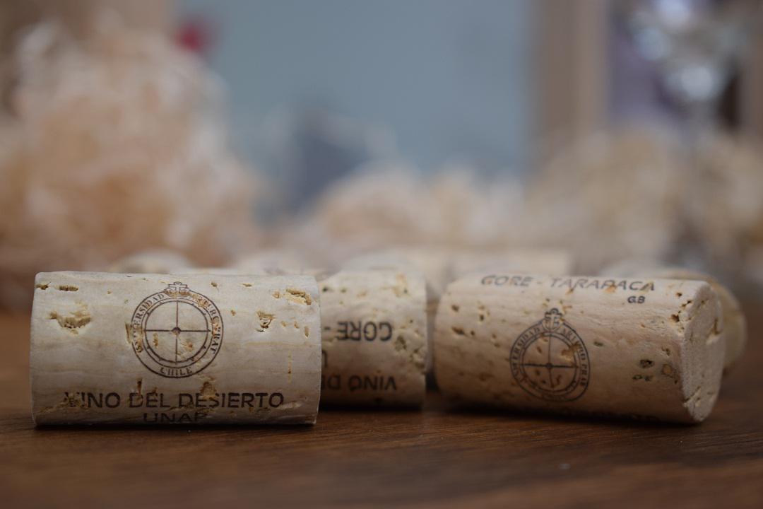 VINO del desierto 6