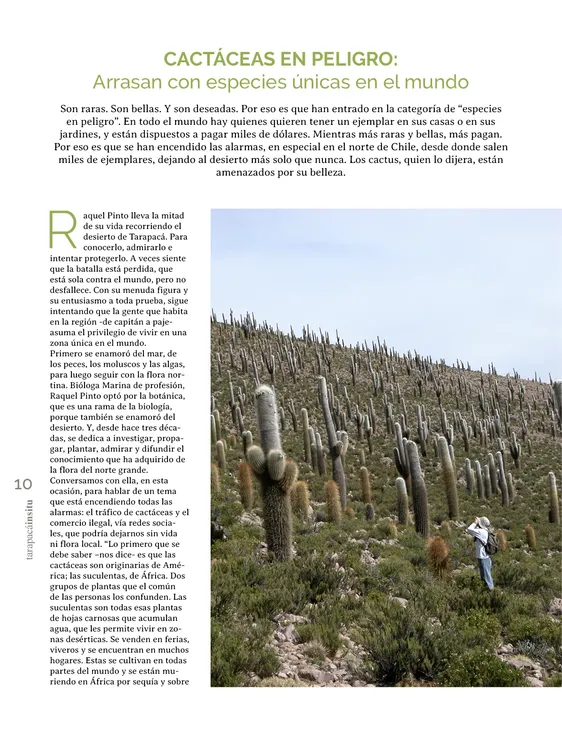 PAGINAS IN SITU 69 MEDIA10