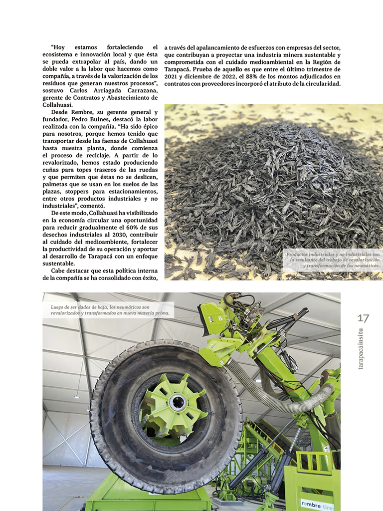 Revista Tarapacá Insitu ed52 - Página 17