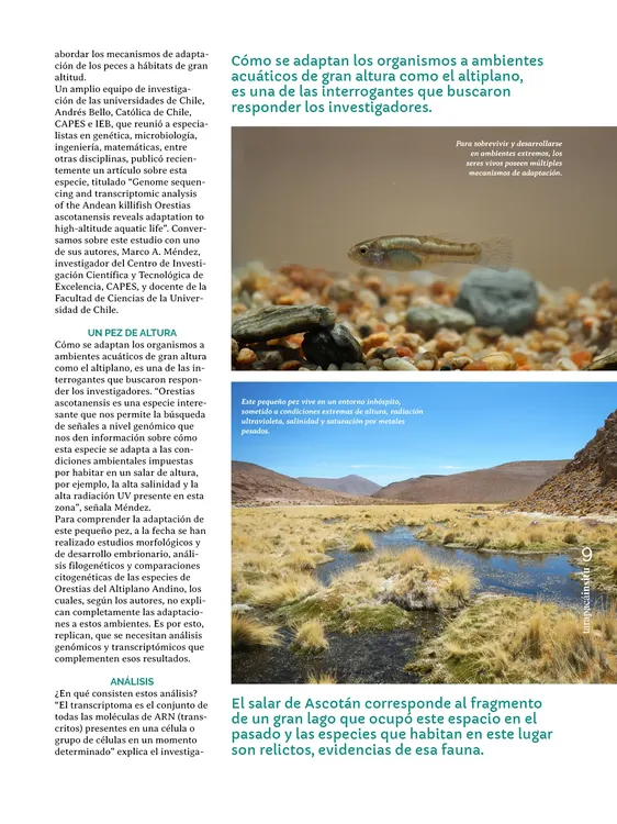 PAGINAS IN SITU 63 BAJA9