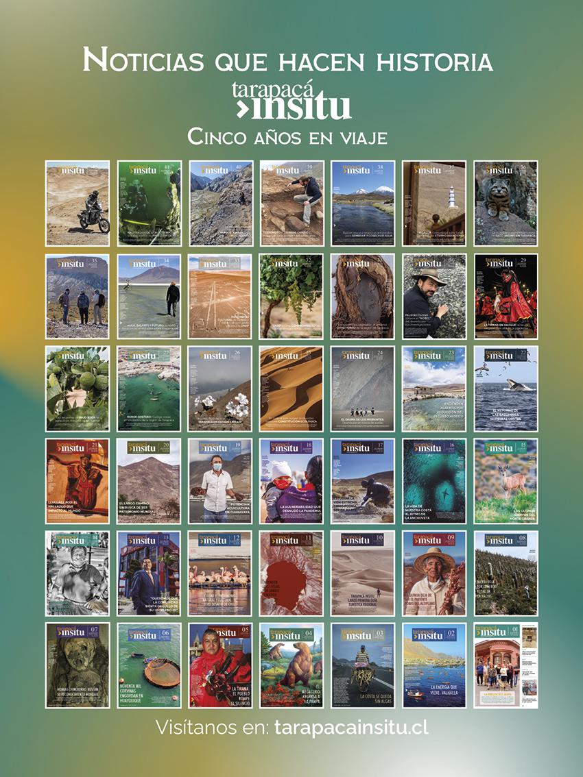 Revista Tarapacá Insitu Ed46 - Contraportada