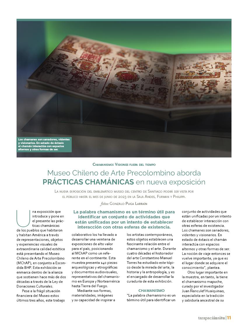 Revista Tarapacá Insitu ed48 - página11