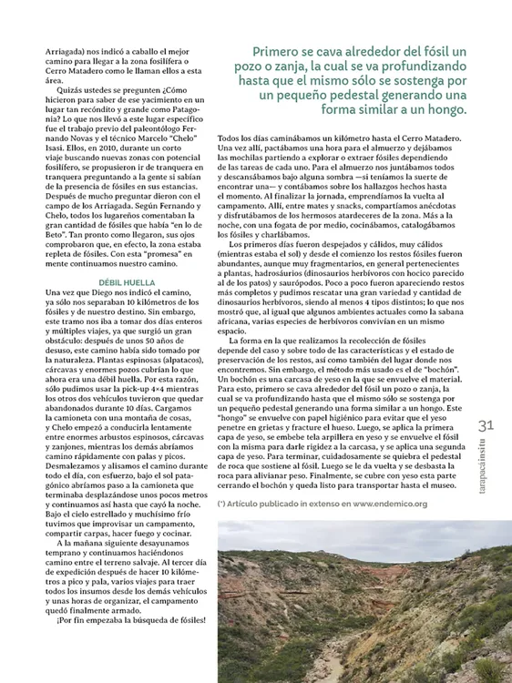 Tarapacá Insitu ed53 - Página 31