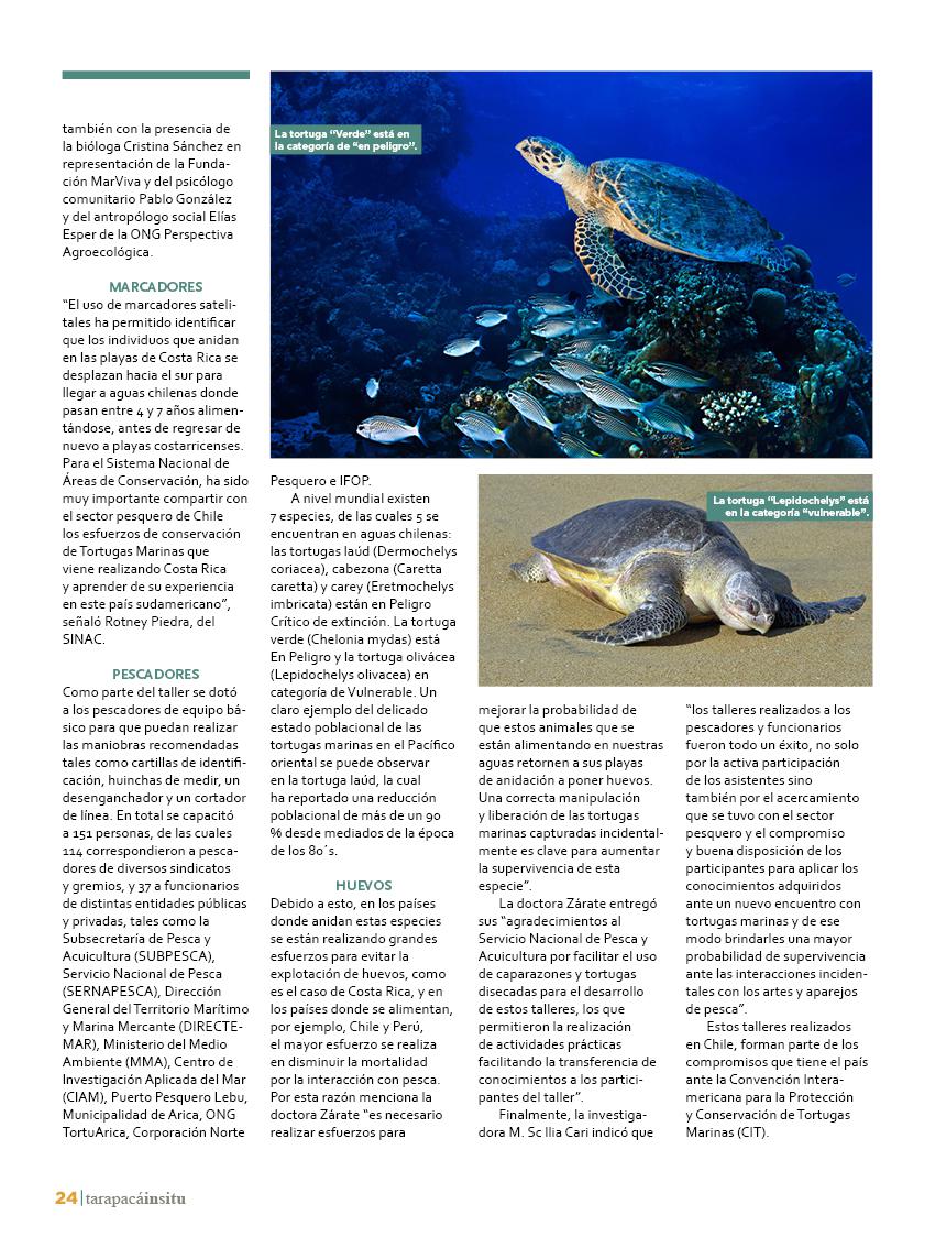 Revista Tarapacá Insitu Ed44 - Página24
